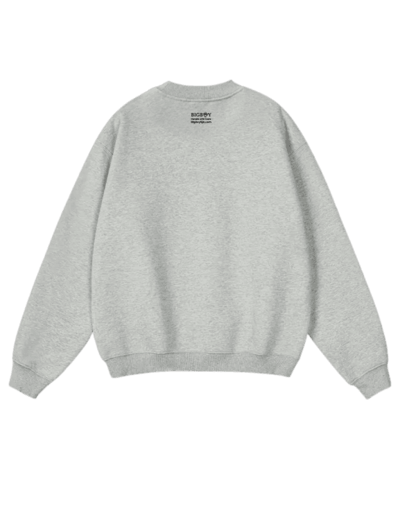 Solid Foundation grey Sweatshirt - Grey Hoodie in Nigeria - Bigboy9ja.com -